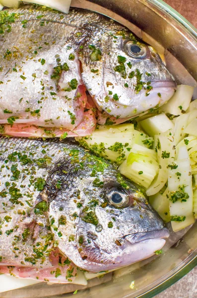 Seasoning Fish Closeup - Cooking Recipes