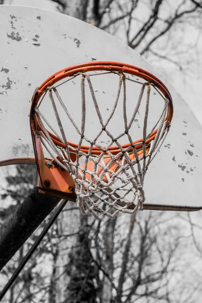 Isolated basketball hoop with net in vintage style