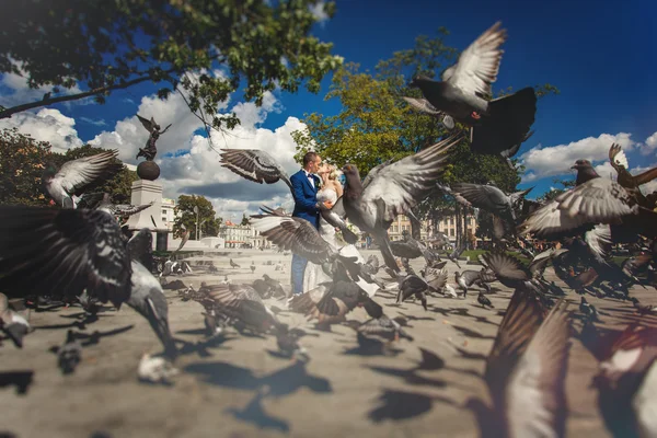 Kissing couple with flying doves in park