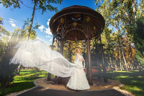 Bride with flowing veil near arbor in park