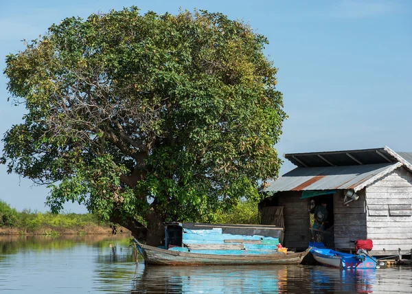 Hut boat and huge tree in Cambodia