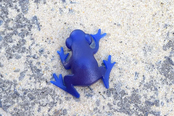 Blue frog sitting on the road