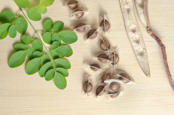Moringa leaf and seed on wooden board background