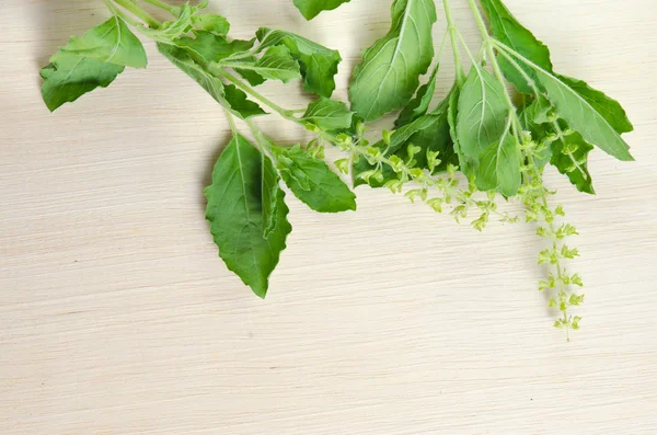 Basil leaf isolated on wooden board background