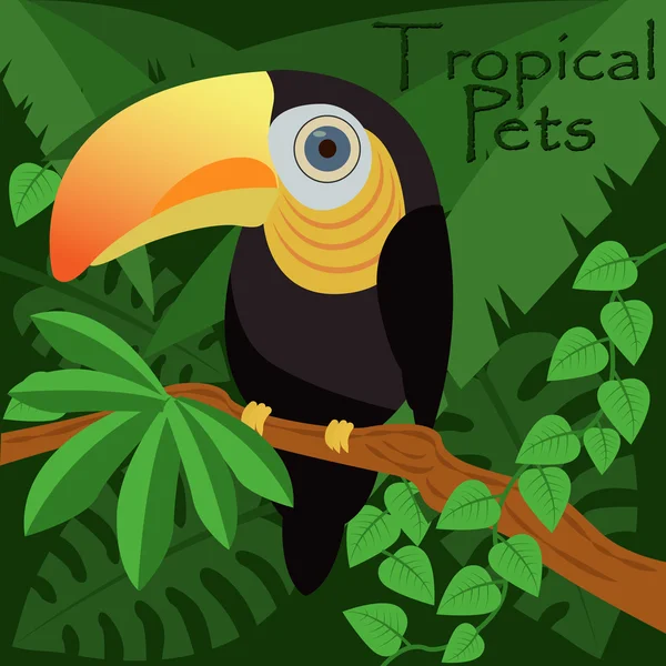 Toucan bird in a jungle, tropical pets vector illustration