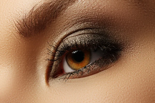 Elegance close-up of female eye with classic dark brown smoky make-up. Macro shot of woman\'s face part. Beauty, cosmetics and makeup
