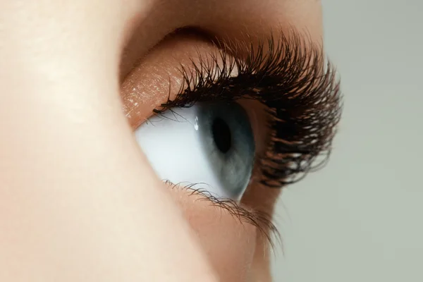 Female eye with long eyelashes close up. Closeup shot of female gray - blue colour eye with day makeup. Beauty female eye with curl long eyelashes