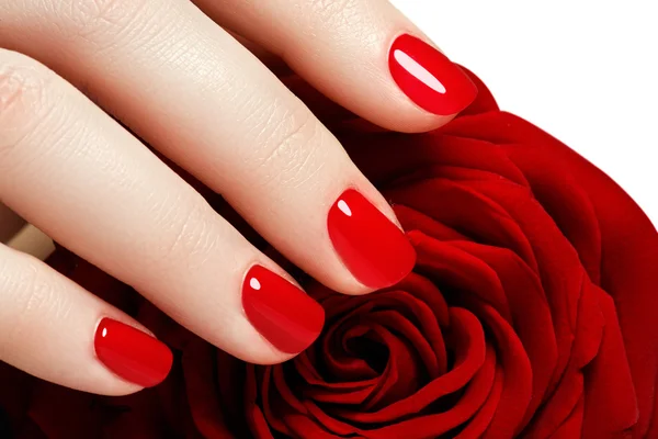 Manicure. Beautiful manicured woman\'s hands with red nail polish. Beautiful red manicure. Girl with red nail Polish on the nails. Bright red polish on nails and holding red rose