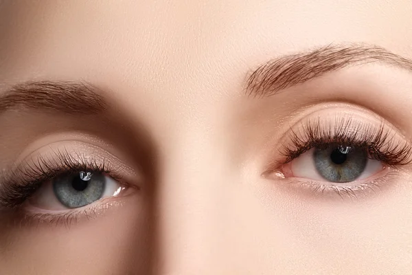 Macro shot of woman\'s beautiful eye with extremely long eyelashes. Sexy view, sensual look. Female eye with long eyelashes