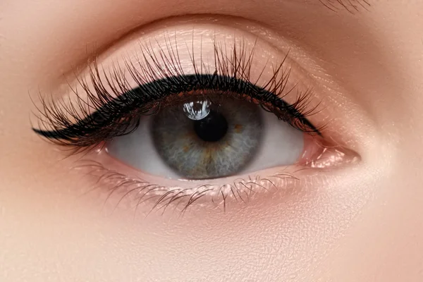 Macro shot of woman\'s beautiful eye with extremely long eyelashes. Sexy view, sensual look. Female eye with long eyelashes