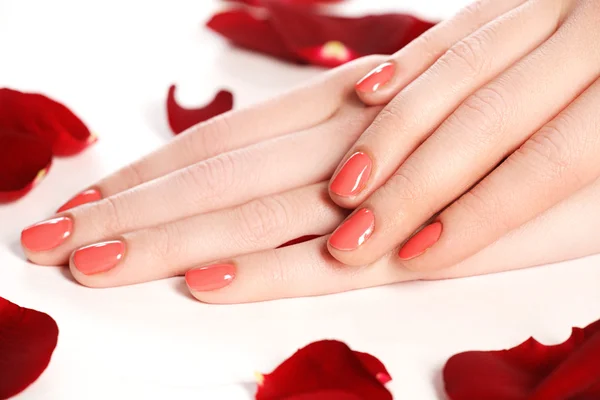 Beautiful female finger nails with red nail closeup on petals. Perfect manicure. Woman hands with manicure red nails closeup and rose. Skin and nail care