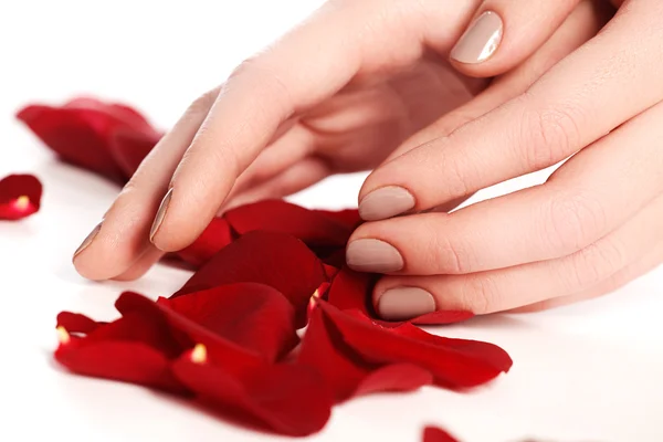 Beautiful female finger nails with natural  nail closeup on petals. Perfect manicure. Woman hands with manicure natural  nails closeup and rose. Skin and nail care.