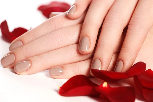 Beautiful female finger nails with natural nail closeup on petals. Perfect manicure. Woman hands with manicure natural nails closeup and rose. Skin and nail care.