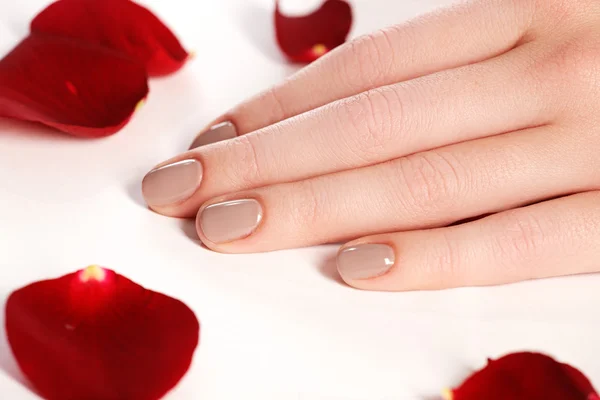 Beautiful female finger nails with natural  nail closeup on petals. Perfect manicure. Woman hands with manicure natural  nails closeup and rose. Skin and nail care.