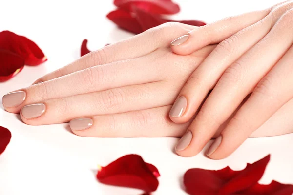 Beautiful female finger nails with natural nail closeup on petals. Perfect manicure. Woman hands with manicure natural nails closeup and rose. Skin and nail care.