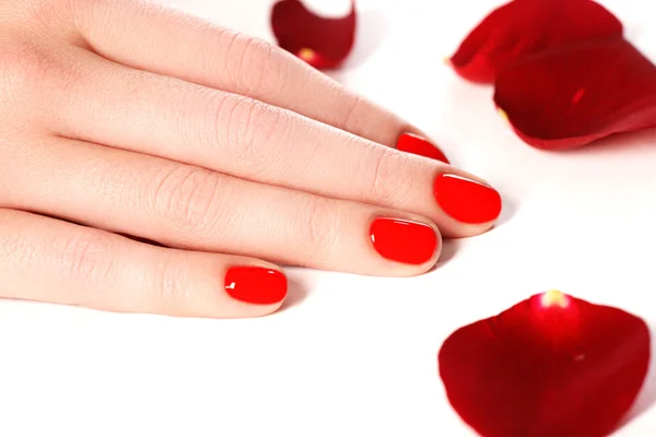 Beautiful female finger nails with red nail closeup on petals. Perfect manicure. Woman hands with manicure red nails closeup and rose. Skin and nail care.