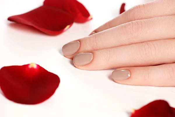 Beautiful female finger nails with natural nail closeup on petals. Perfect manicure. Woman hands with manicure natural nails closeup and rose. Skin and nail care