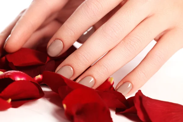 Beautiful female finger nails with natural nail closeup on petals. Perfect manicure. Woman hands with manicure natural nails closeup and rose. Skin and nail care.