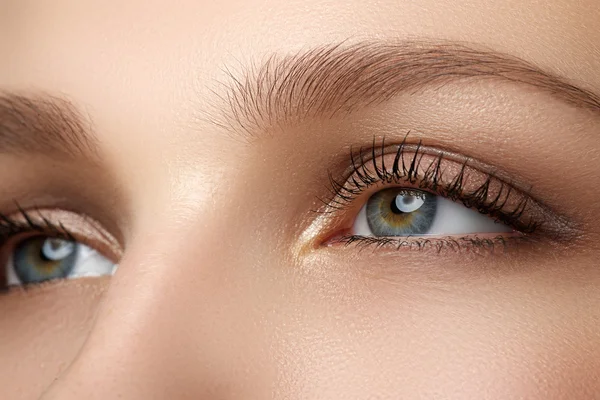 Macro shot of woman\'s beautiful eye with extremely long eyelashes. Sexy view, sensual look. Female eye with long eyelashes