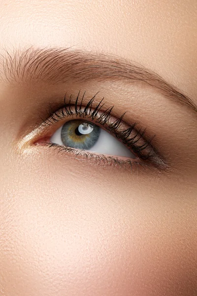 Macro shot of woman\'s beautiful eye with extremely long eyelashes. Sexy view, sensual look. Female eye with long eyelashes