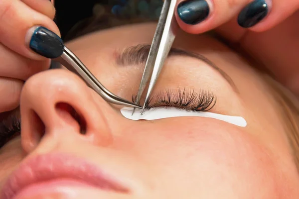 Eyelash extension process, the beauty industry beauty salons las