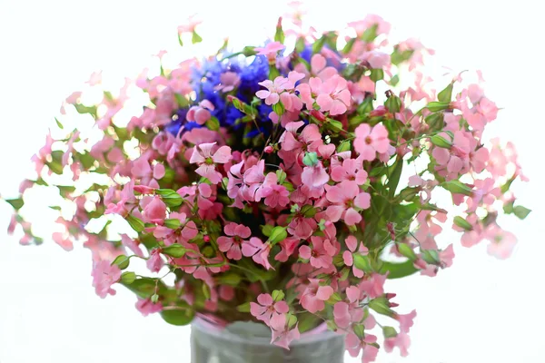 Bouquet of wild flowers pink and blue on a white background