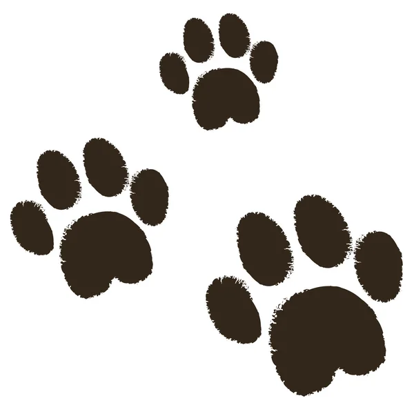 三只猫爪子 - 图库矢量图像 Orkidia #83153476