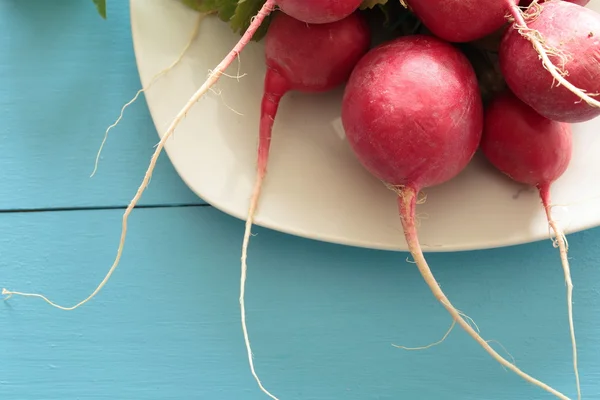 Radishes on a white plate