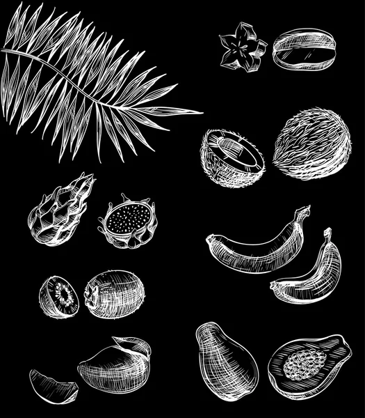 Graphic lines, strokes set icons tropical fruits, for exotic meals, juices, desserts, drawn on chalkboard for design menu restaurants, cafes, bistros, food packaging, vector white on black, inversion