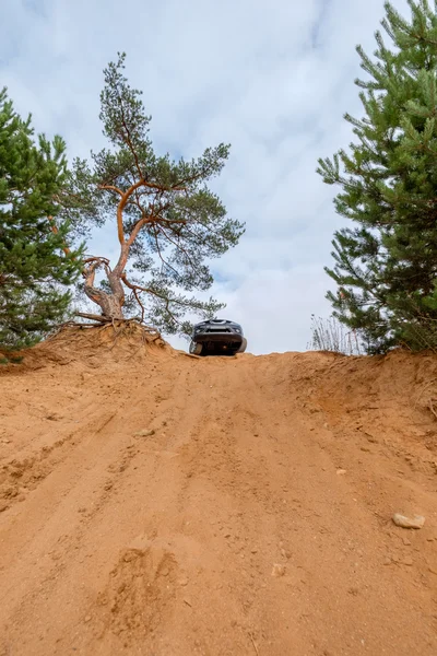 All terrain vehicle safari over sand forest road