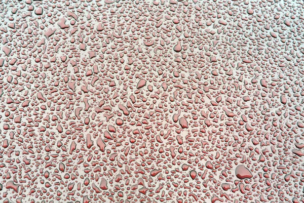 Red water drops on metal car surface.