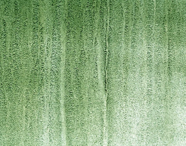 Dirty green metal car texture.