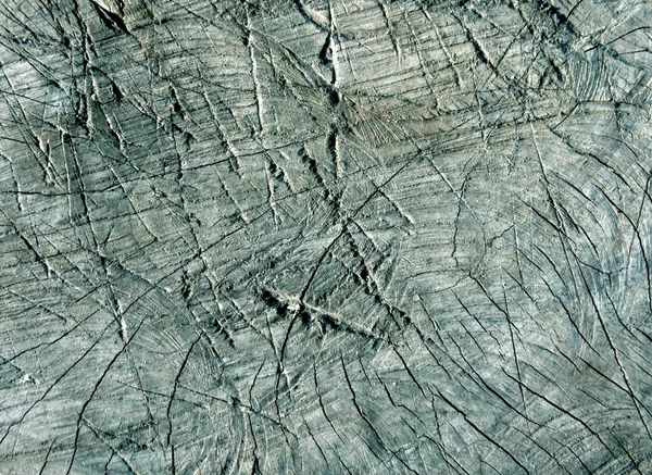 Abstract cyan toned cut old tree surface with axe scratches.