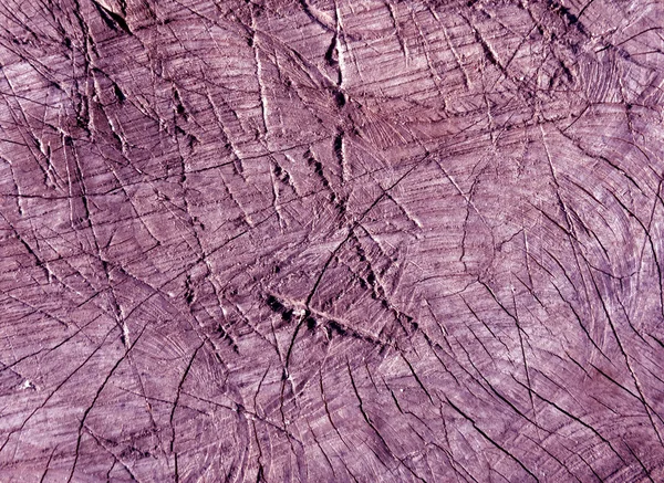 Abstract magenta toned  cut old tree surface with axe scratches.