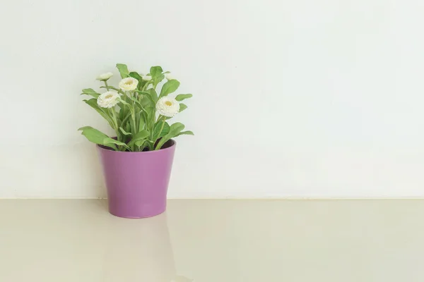 Closeup artificial plant with white flower on purple pot on blurred marble floor and white cement wall textured background