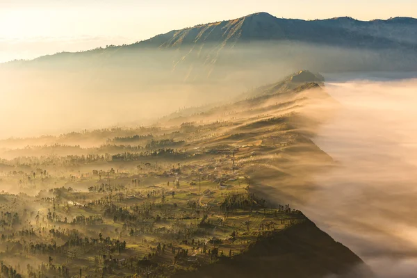 Cemoro Lawang; small village in morning mist. Which situated on the edge of massive north-east of Mount Bromo, East Java, Indonesia