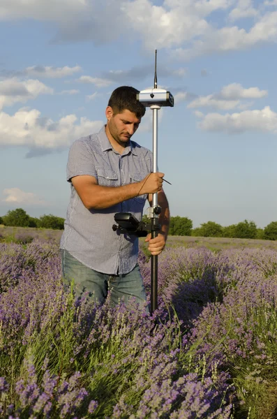 Land surveying in a lavender field around Kazanlak