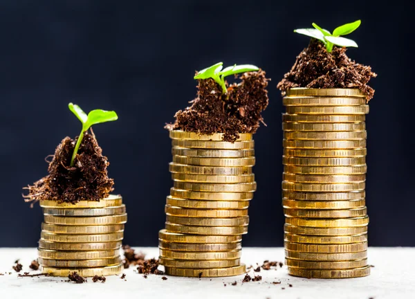 Coins and plants in soil