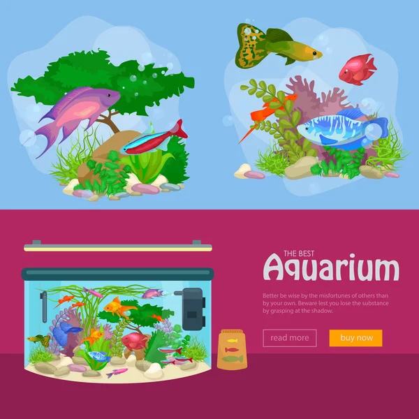 Aquarium fish, seaweed underwater, banner template layout with marine animal