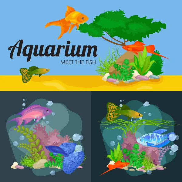 Aquarium fish, seaweed underwater, banner template layout with marine animal