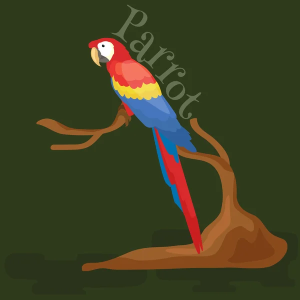 Domestic animal, isolated macaw parrot with beak and wings, pets background, tropical bird on white vector illustration pictograms