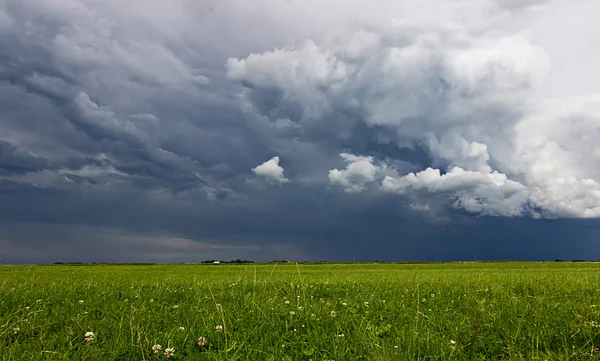 Sumner Storm clouds above meadow with green grass Rising Thunderstorm, Dramatic sky before storm. Dark clouds