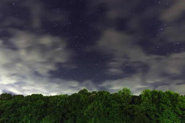Starry Night,. White clouds, many stars, green forest. The edge of the forest. Beautiful night sky.