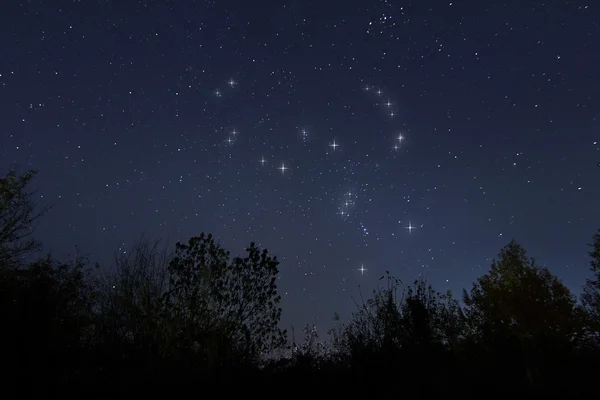 Constellation of Orion in real night sky, The Hunter