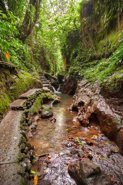 River in jungle with paths for tourists. Monkey forest. Ubud, Bali island, Indonesia.