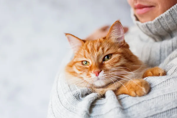 Man in knitted sweater holding ginger cat.