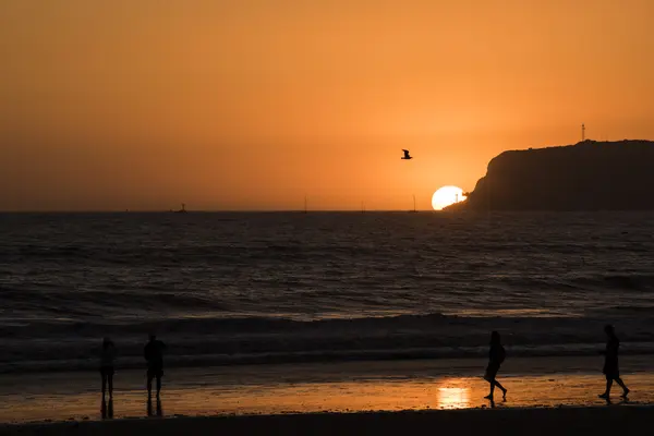 Sunset on Coronado island with silhouettes of people and flying pelican in San Diego, California
