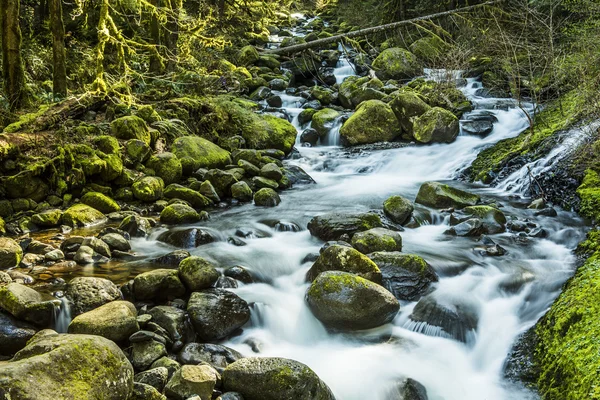 Stream leading to triple falls on hike in Oregon