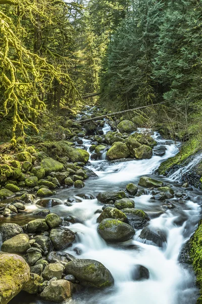 Stream leading to triple falls on hike in Oregon