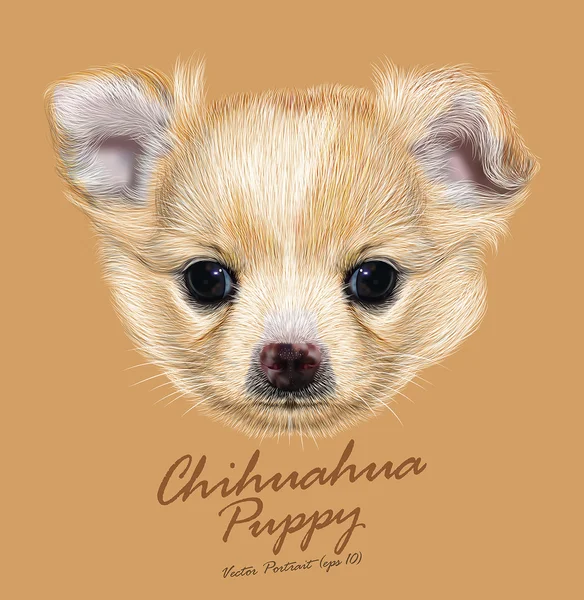 Vector Illustrative Portrait of Chihuahua Puppy